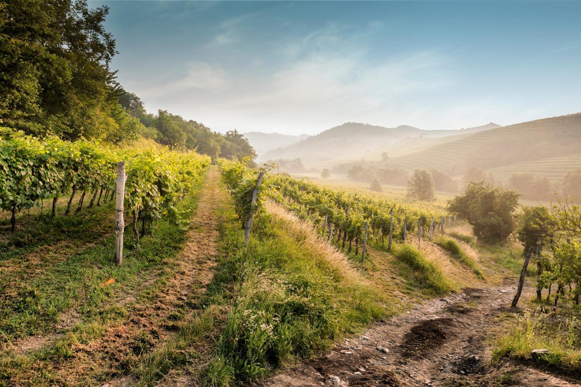 Готель Kabaj Wine & Dine Доброво Екстер'єр фото