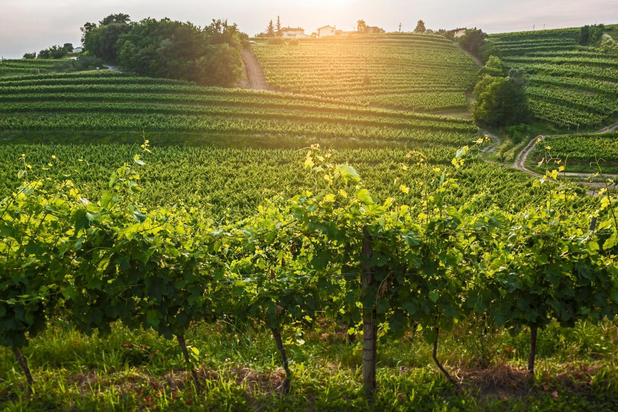 Готель Kabaj Wine & Dine Доброво Екстер'єр фото